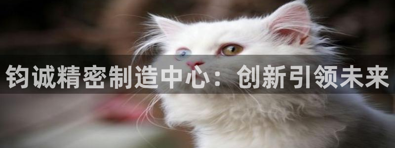 彩神网官网登录：钧诚精密制造中心：创新引领未来