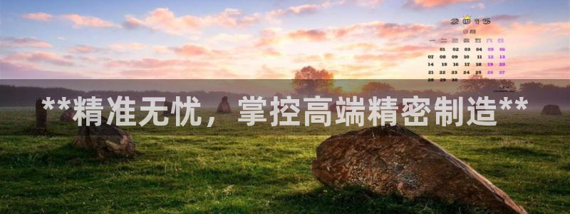 彩神v8下载：**精准无忧，掌控高端精密制造**