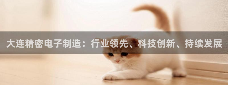 彩神v天天：大连精密电子制造：行业领先、科技创新、持续发展
