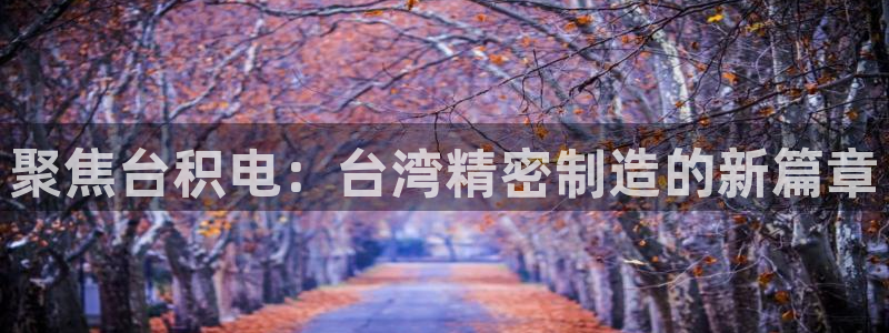 彩神用户登录：聚焦台积电：台湾精密制造的新篇章