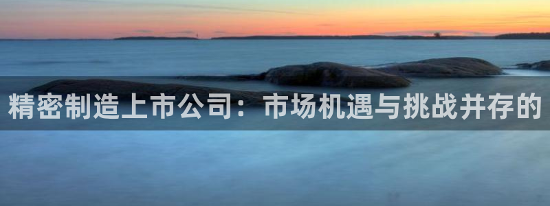 彩神8官网版是正规的吗：精密制造上市公司：市场机遇与挑战并存的