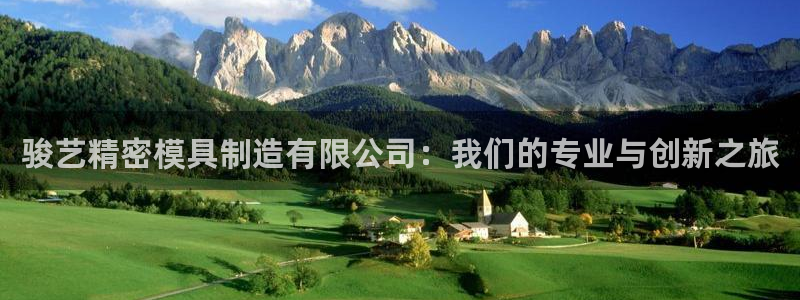 彩神大发cp：骏艺精密模具制造有限公司：我们的专业与创新之旅