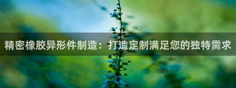 下载彩神乐发V：精密橡胶异形件制造：打造定制满足您的独特需求