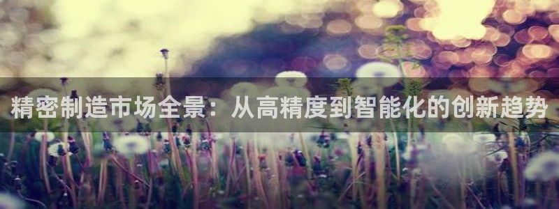 彩神v1破解器：精密制造市场全景：从高精度到智能化的创新趋势