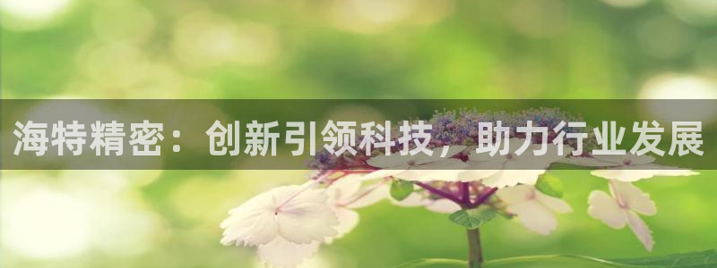 所有彩神购买首页：海特精密：创新引领科技，助力行业发展