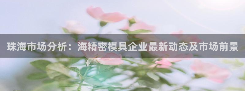 新版彩神v8登录不上去：珠海市场分析：海精密模具企业最新动态及市场前景