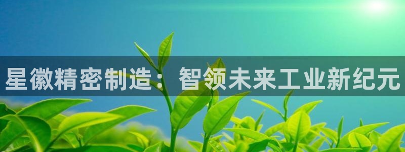 彩神v争霸有限公司：星徽精密制造：智领未来工业新纪元