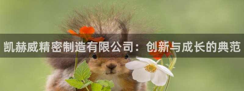 彩神VII官方版：凯赫威精密制造有限公司：创新与成长的典范