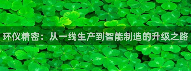 彩神是什么平台的游戏：环仪精密：从一线生产到智能制造的升级之路
