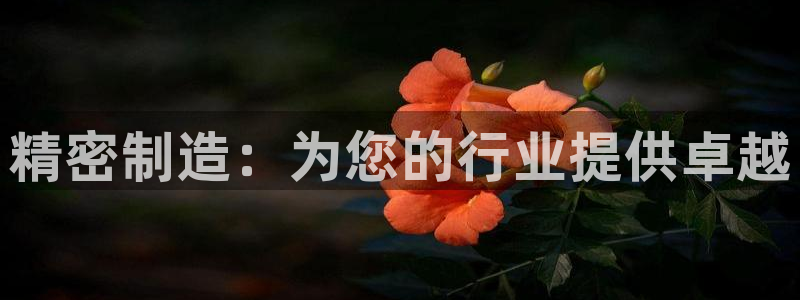 彩神Vii购彩-购彩大厅：精密制造：为您的行业提供卓越