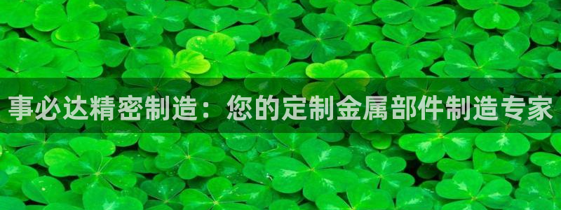 彩神v1破解器：事必达精密制造：您的定制金属部件制造专家