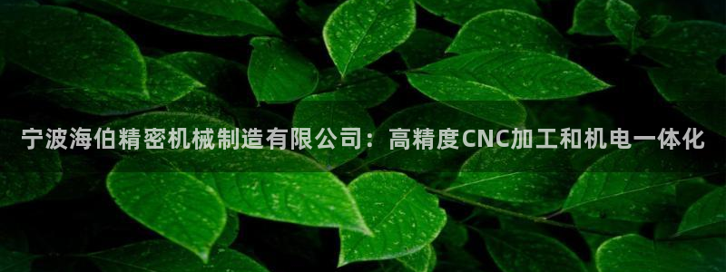 新版彩神v8登录教程：宁波海伯精密机械制造有限公司：高精度CNC加工和机电一体化