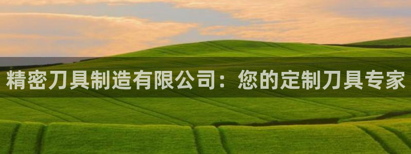 彩神争霸官网登录平台：精密刀具制造有限公司：您的定制刀具专家