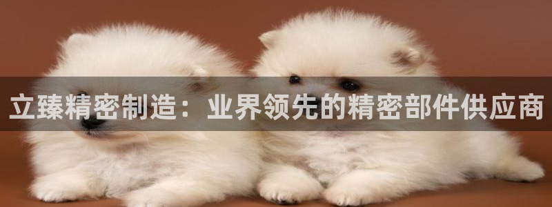 彩神v8是一个什么平台游戏