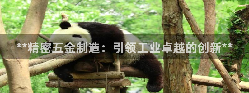 彩神v8手机客户端怎么下载