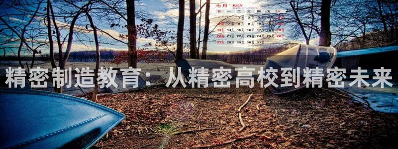 彩神V集团有限公司