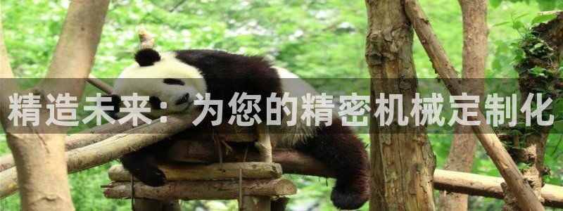 彩神大发黑平台