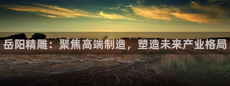 彩神vl购彩大厅：岳