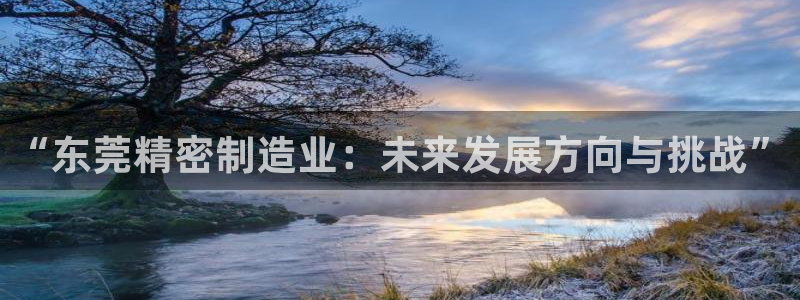 彩神是怎样一个平台赚