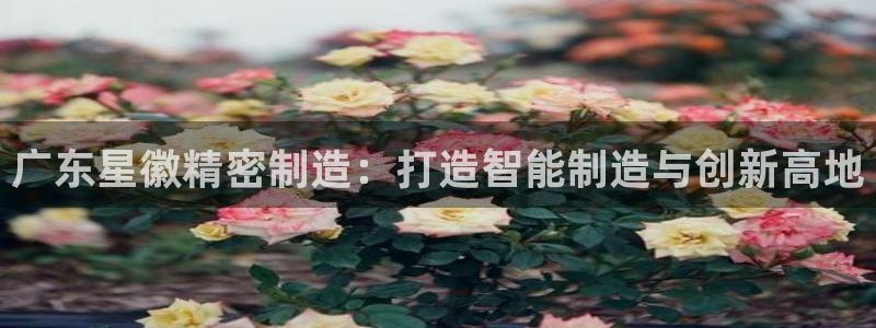 彩神购彩-购彩大厅入