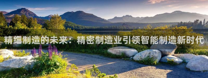 彩神Vll：精细制造