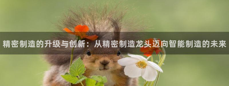 彩神v8官网版：精密